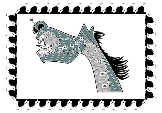 caballo-topograf